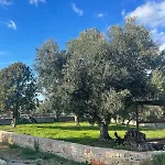Magis Villa Ostuni