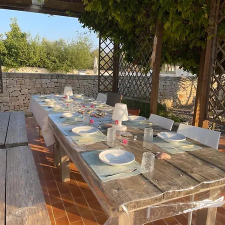 فيلة Magis أوستوني